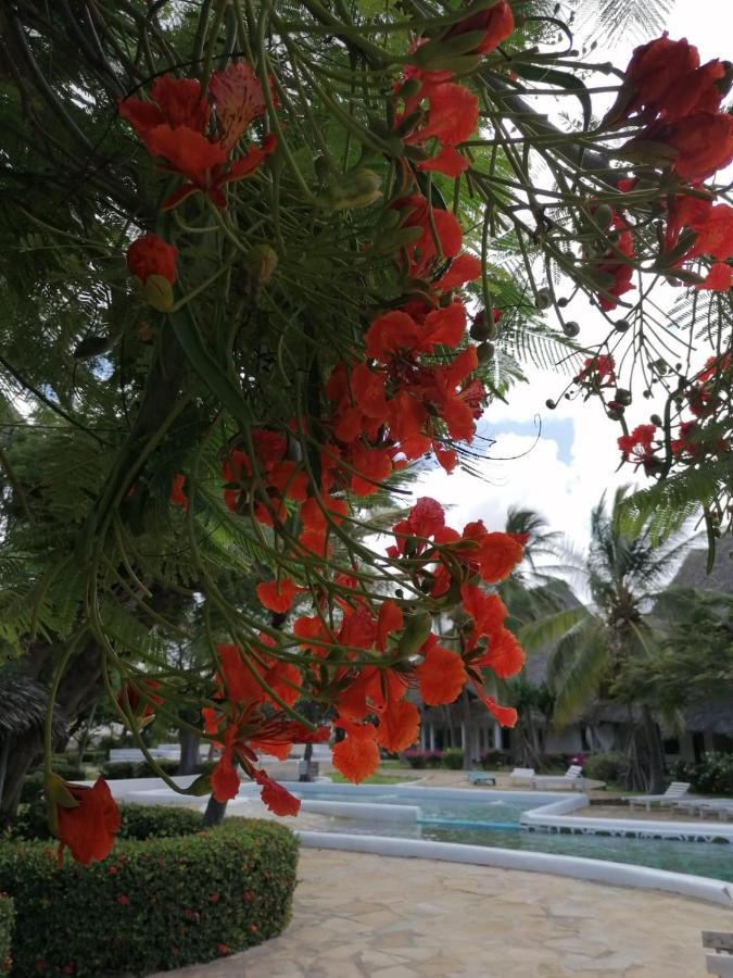Coral Key Villaマリンディ エクステリア 写真